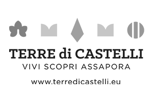 logo-terre-di-castelli-2025-1